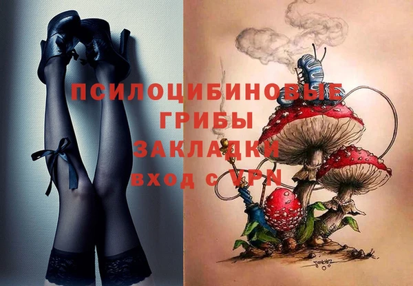 Альфа ПВП Гусев