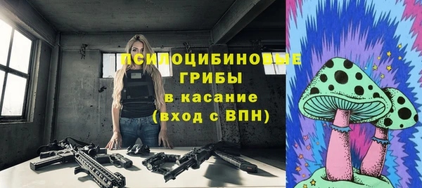 МДПВ Гусиноозёрск