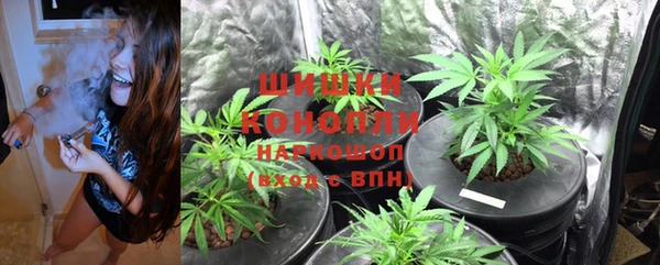 Альфа ПВП Гусев